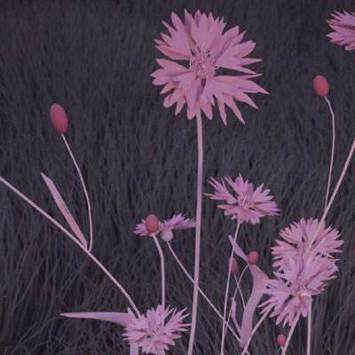 bet韦德官方网站