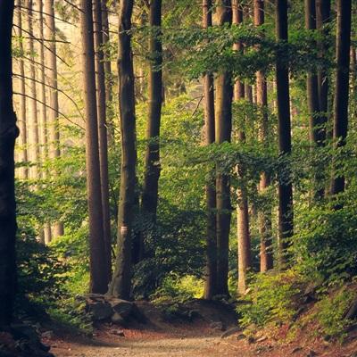 leyu·乐鱼(中国)体育下载手机版